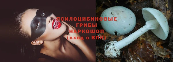 mdma Дмитриев