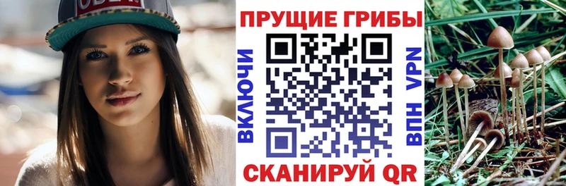 Галлюциногенные грибы мицелий  Енисейск 